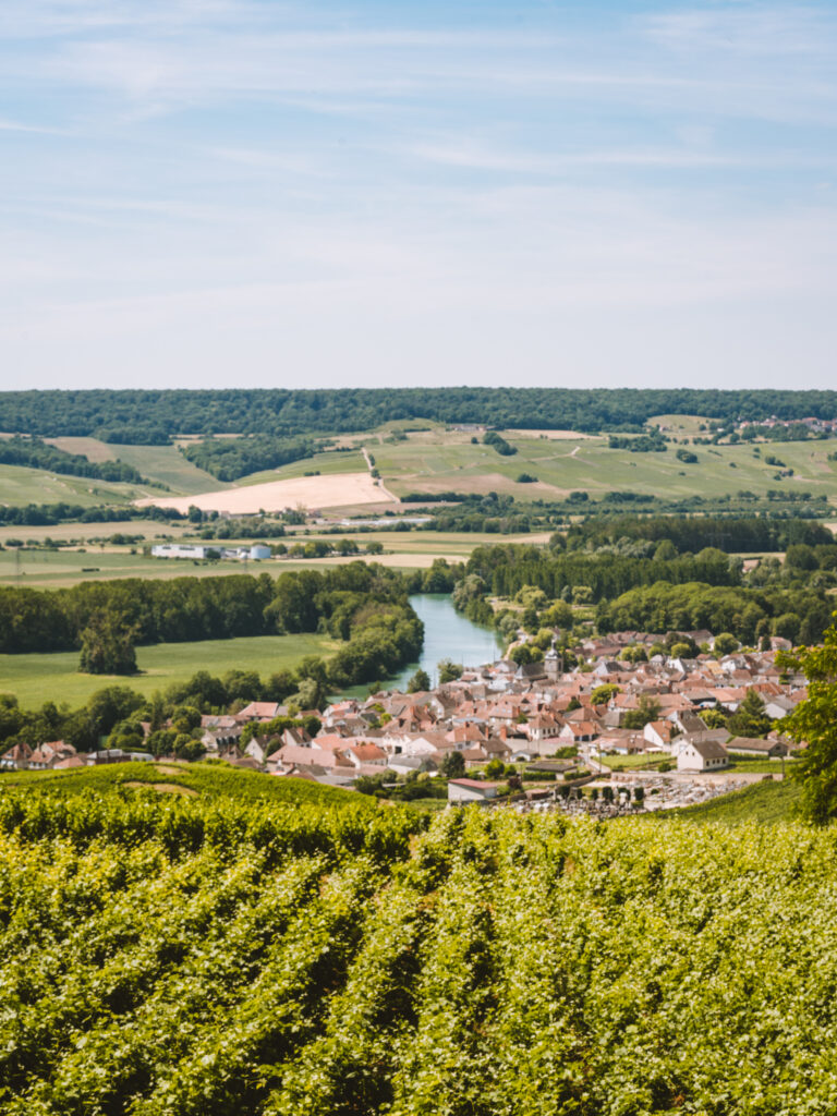 Royal Champagne, le premier Palace du Grand Est 41 Summer outdoor