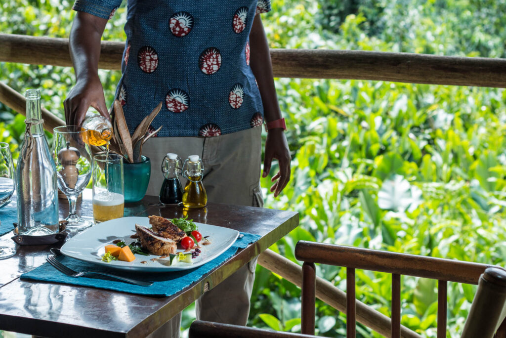 À Ngaga Lodge, on entre dans la forêt par le haut 68 e2016 ODZALA ALH 341
