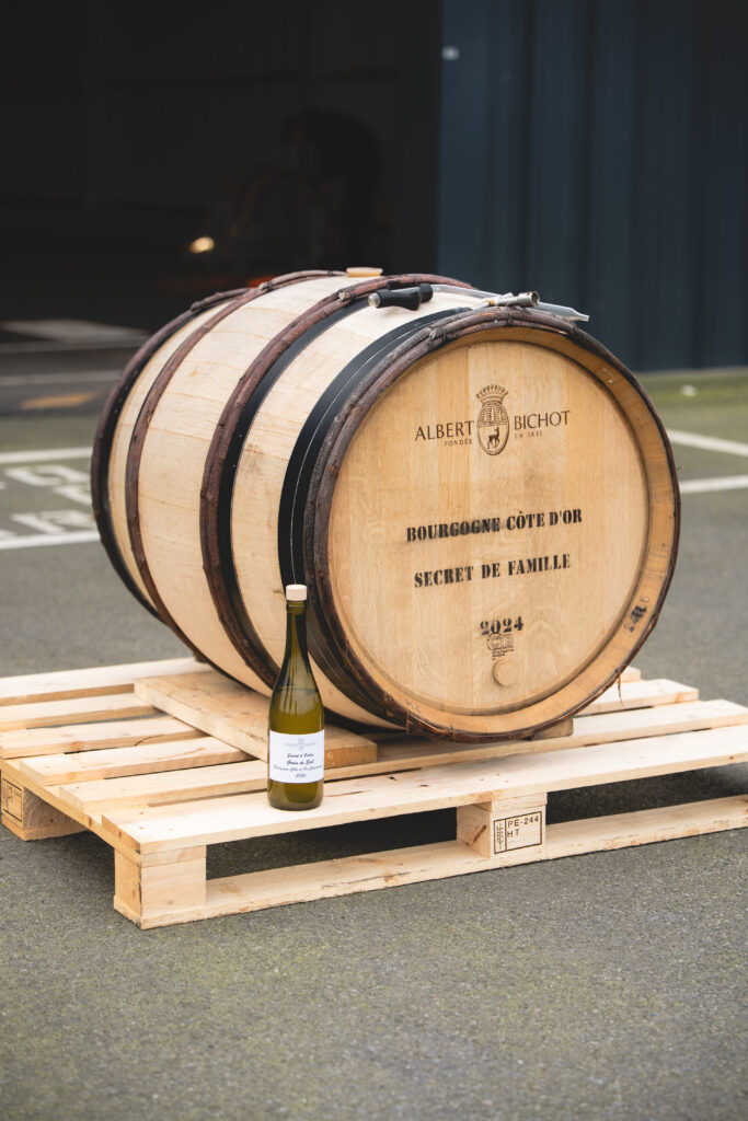 La Bourgogne d’Albert Bichot prend le large 32 ©Baptiste Beauvais Grain de sel X Albert Bichot 32