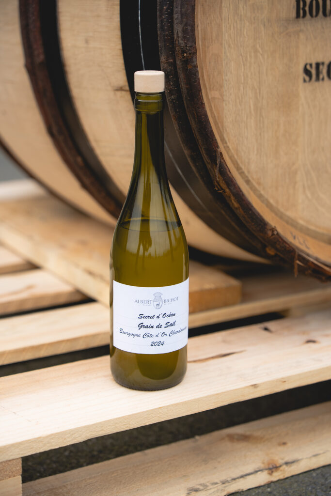 La Bourgogne d’Albert Bichot prend le large 33 ©Baptiste Beauvais Grain de sel X Albert Bichot 33