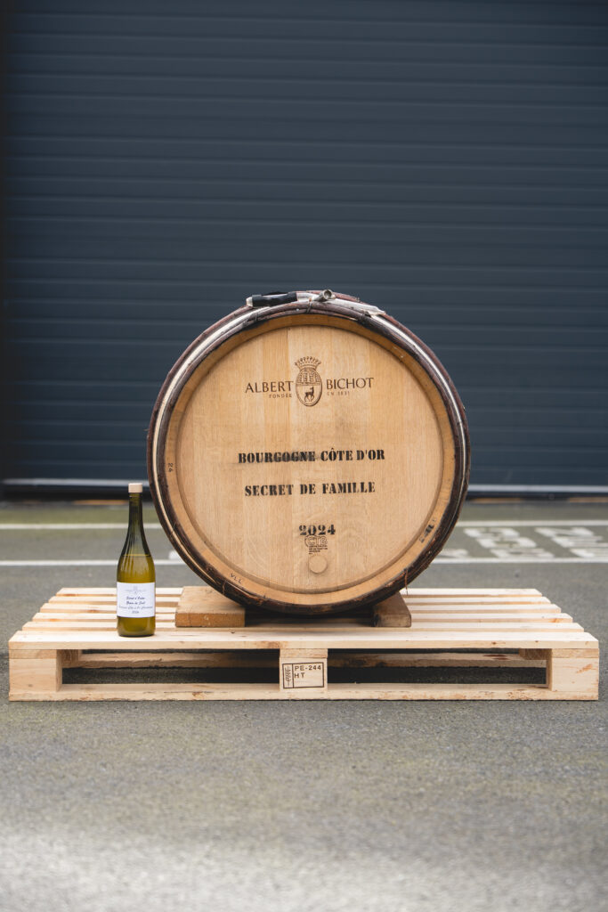 La Bourgogne d’Albert Bichot prend le large 34 ©Baptiste Beauvais Grain de sel X Albert Bichot 34