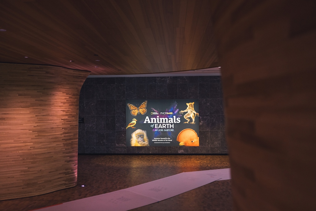 National Geographic installe son Musée de l'Exploration à Washington, Rolex en partenaire fondateur 32 ppi basecamp2604am 032