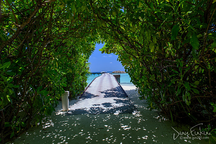 Falhumaafushi, le luxe à l'échelle d'un récif 28 20180329 L 20W DSC9925