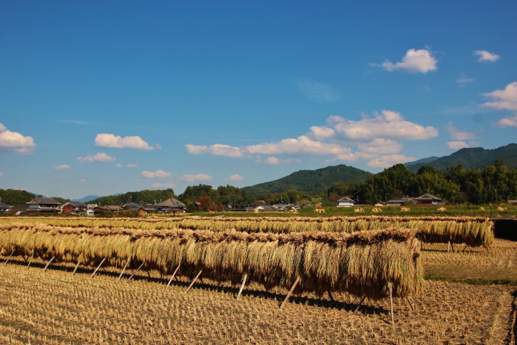 Avant Kyoto, avant Nara : le Japon retrouve son premier visage à Asuka 54 4.街並み 風景 田園風景②