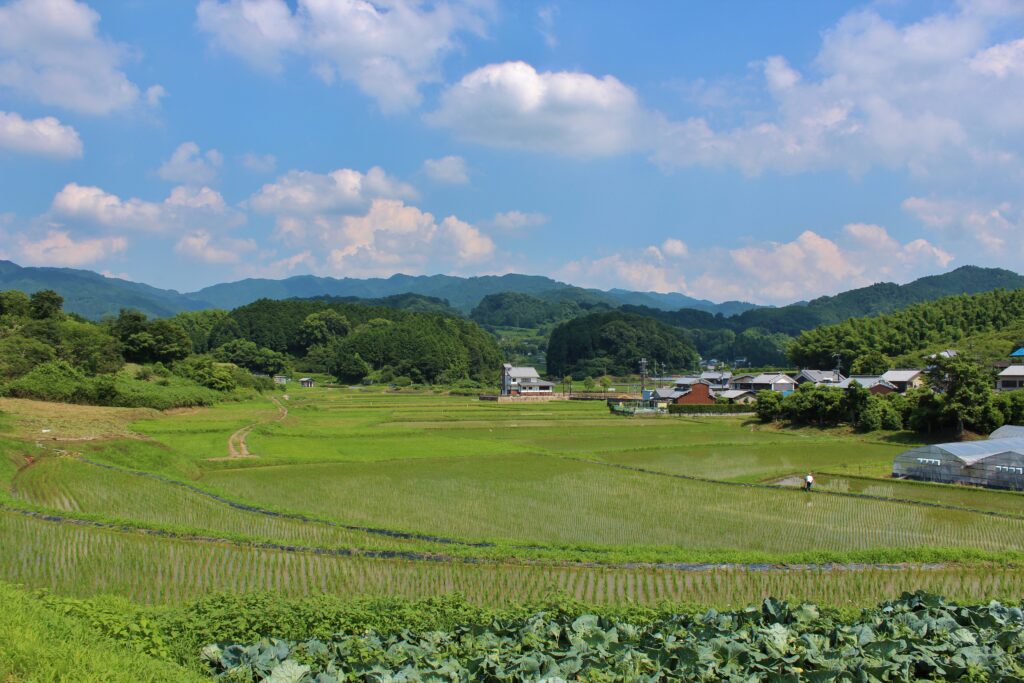 Avant Kyoto, avant Nara : le Japon retrouve son premier visage à Asuka 60 5.街並み田園風景①