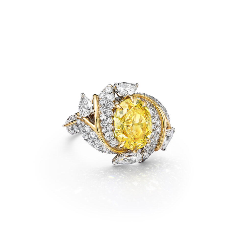 Tiffany & Co. : l'oiseau de Schlumberger reprend son vol 87 75873654 RG v1 ml2 X2000