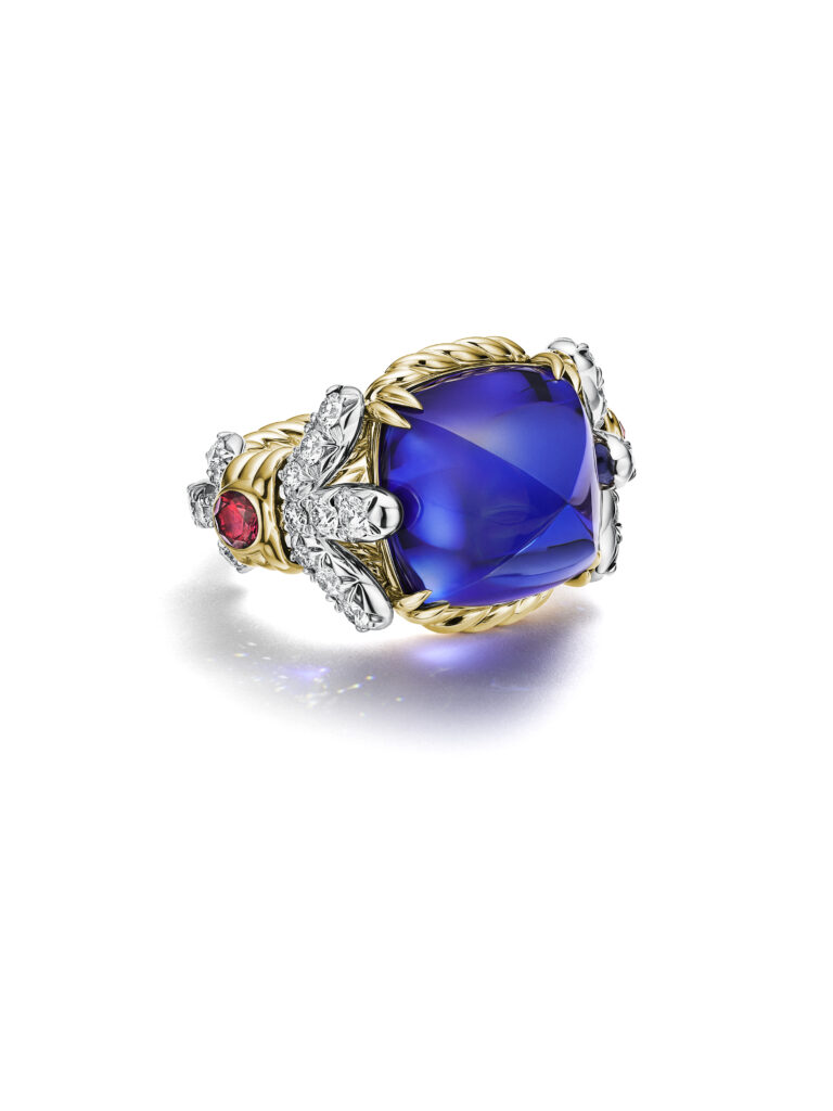 Tiffany & Co. : l'oiseau de Schlumberger reprend son vol 82 Bluebook 2026 OnWhite 76149097 RG v1 20G