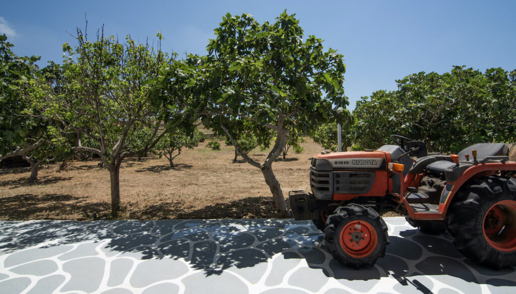 In Mykonos, vacation memories are now something you can eat 28 DSC 2949