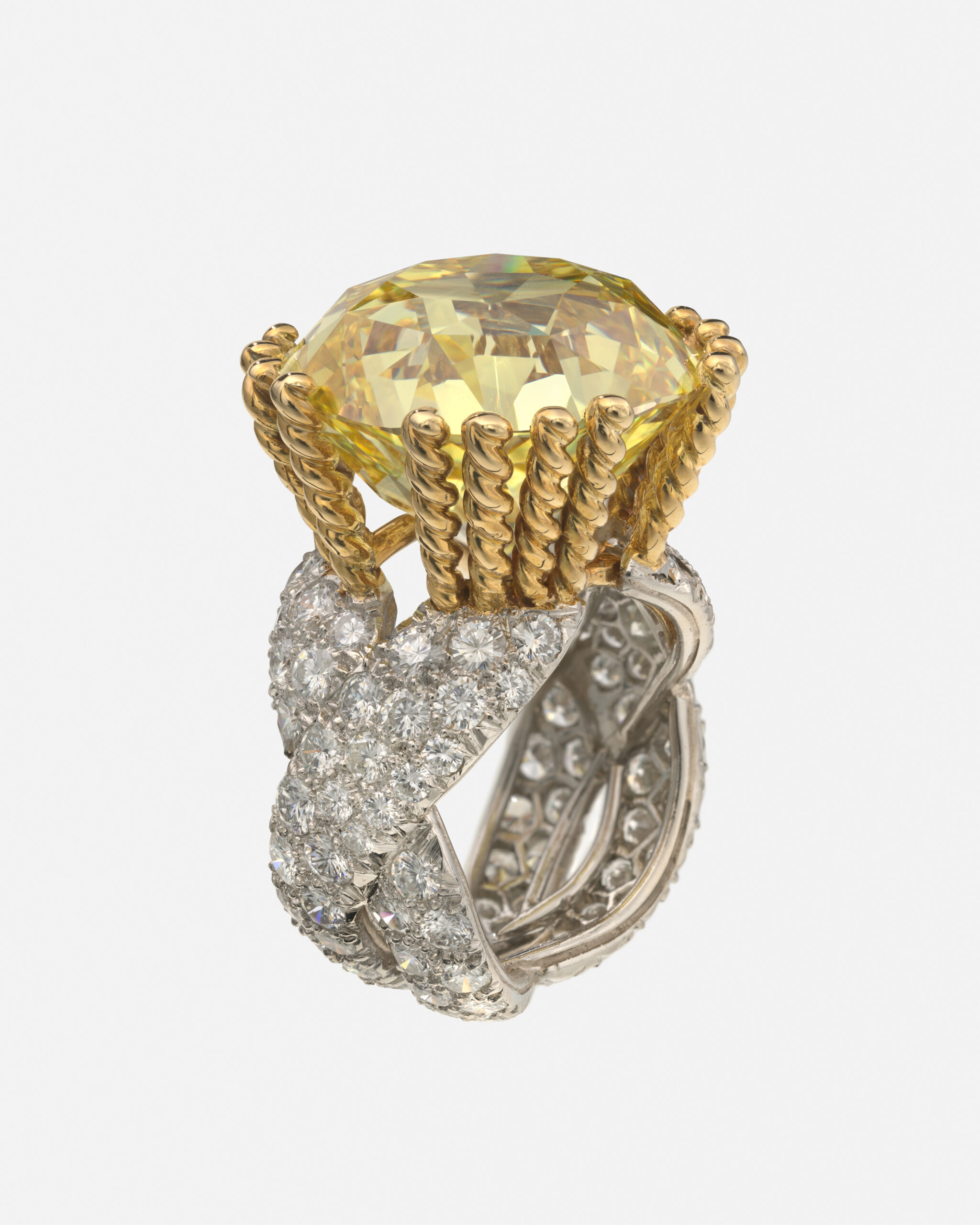 Tiffany & Co. : l'oiseau de Schlumberger reprend son vol 47 EMBARGO 16 sept. 15h 2015 56 v2 TF 202603 scaled