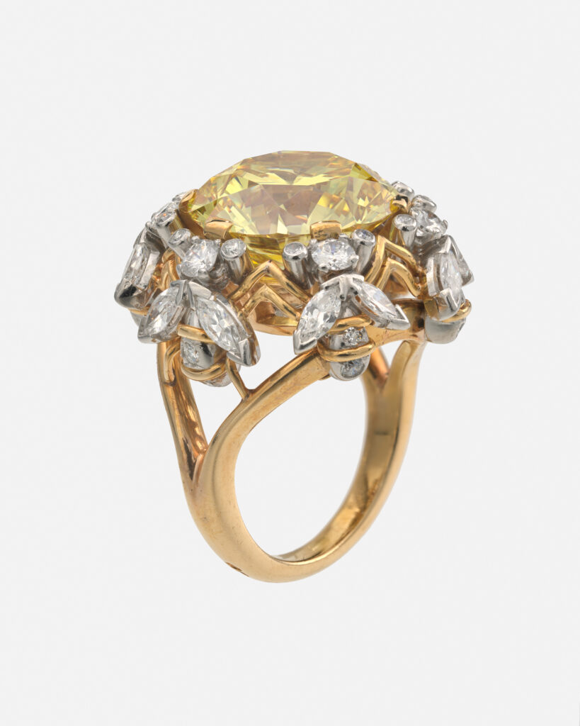 Tiffany & Co. : l'oiseau de Schlumberger reprend son vol 54 EMBARGO 16 sept. 15h 2015 57 v2 TF 202603