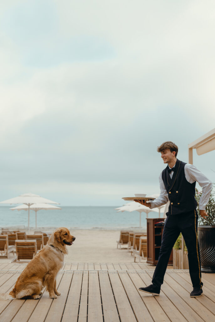 À La Baule, l'Hermitage fête un siècle en misant sur la longévité plutôt que la nostalgie 141 Resort Barriere La Baule chien repas 2