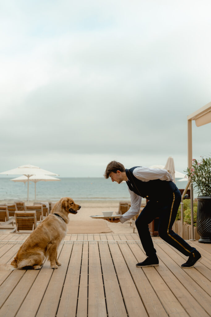 À La Baule, l'Hermitage fête un siècle en misant sur la longévité plutôt que la nostalgie 192 Resort Barriere La Baule chien repas 3