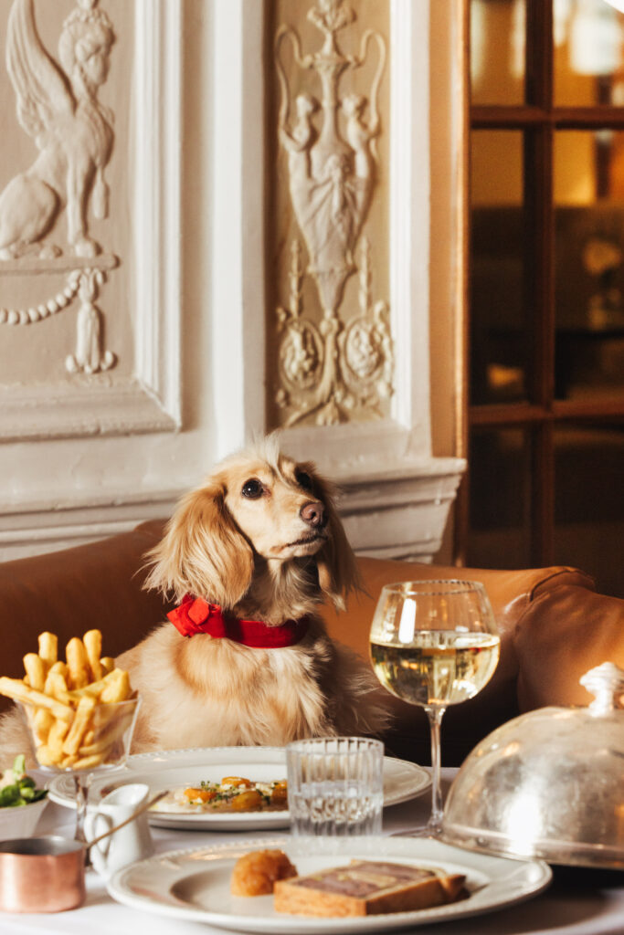 À La Baule, l'Hermitage fête un siècle en misant sur la longévité plutôt que la nostalgie 152 Resort Barriere La Baule chien repas