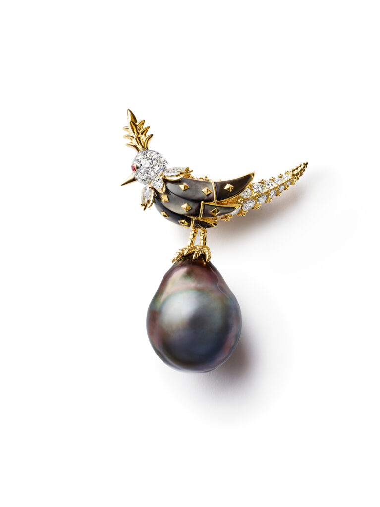 Tiffany & Co. : l'oiseau de Schlumberger reprend son vol 30 S11 RAINBOW BOR 76149003