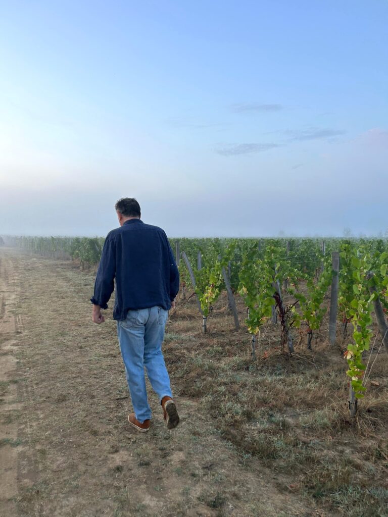 Le chardonnay comme laboratoire bordelais 32 Vendanges Chardonnay @Tiphanie BONDU 6