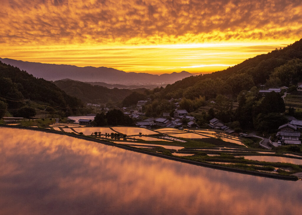 Avant Kyoto, avant Nara : le Japon retrouve son premier visage à Asuka 76 明日香路を写そう写真コンクール14