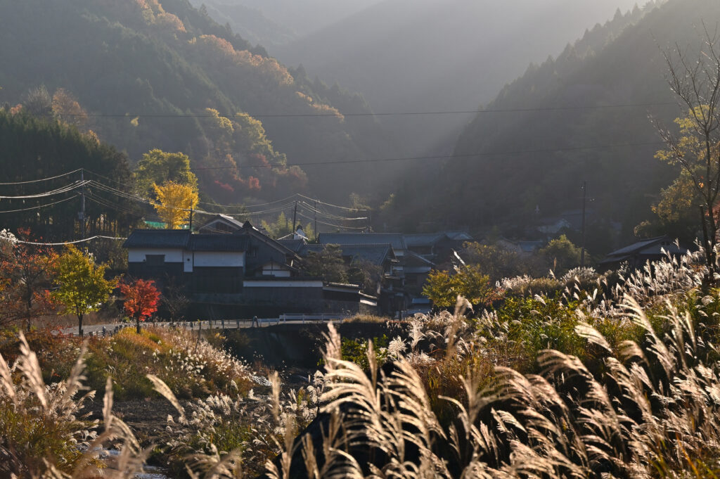 Avant Kyoto, avant Nara : le Japon retrouve son premier visage à Asuka 108 明日香路を写そう写真コンクール46