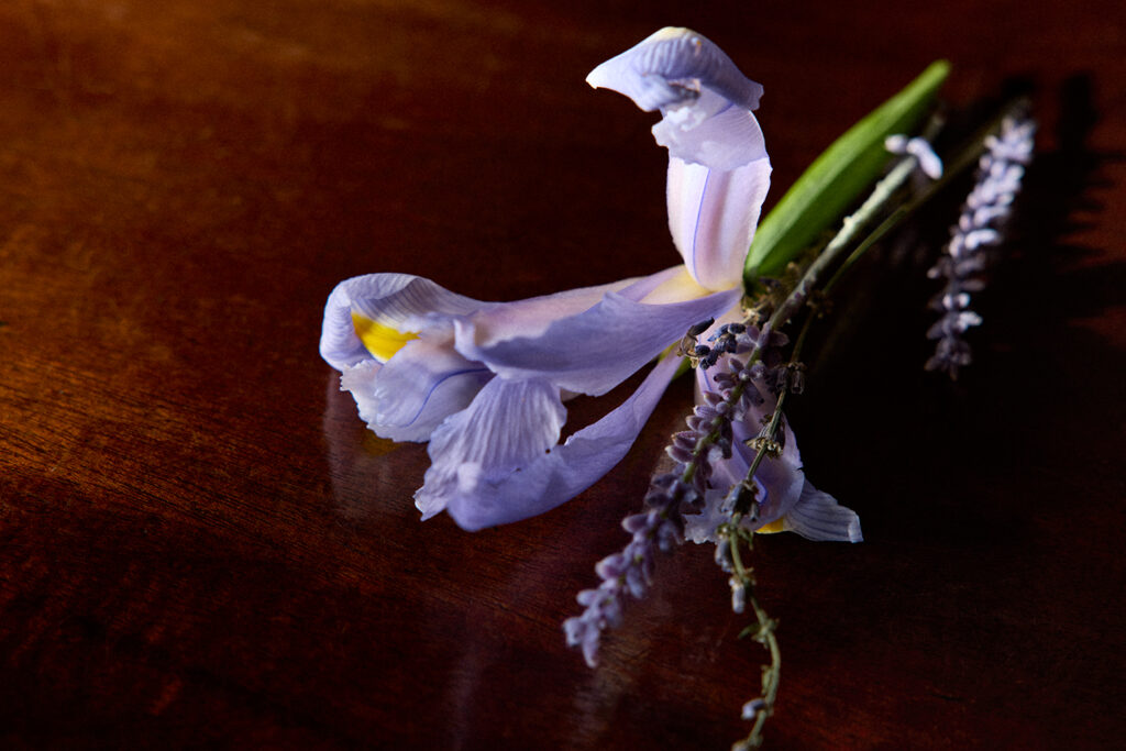 Creed Iris Debonair : la lavande anglaise et l'iris des Landes se répondent 31 Creed Iris Debonair Ingredients 06 Digital 3x2 1