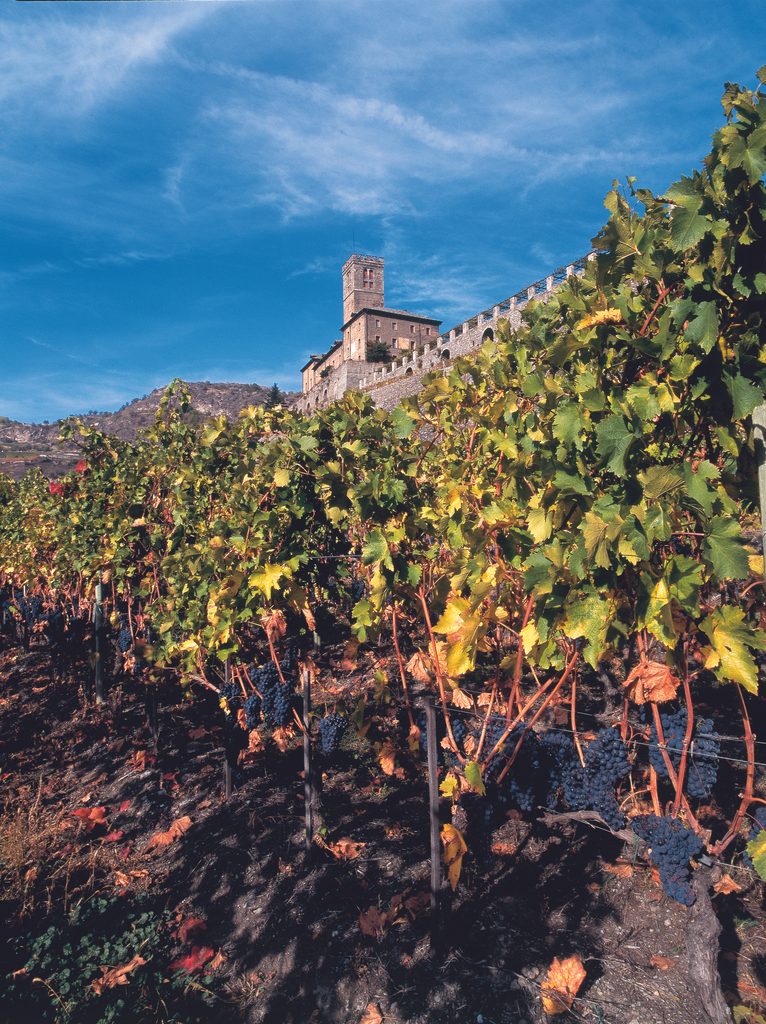 Vallée d'Aoste : l'automne, saison discrète des Alpes italiennes 34 VALLE D AOSTA Castello Sarre e vigneto foto Diego Cesare