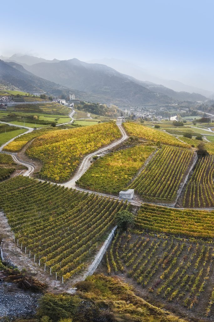 Vallée d'Aoste : l'automne, saison discrète des Alpes italiennes 33 VALLE D AOSTA Vigneti Aymavilles foto Alexis Courthoud 16