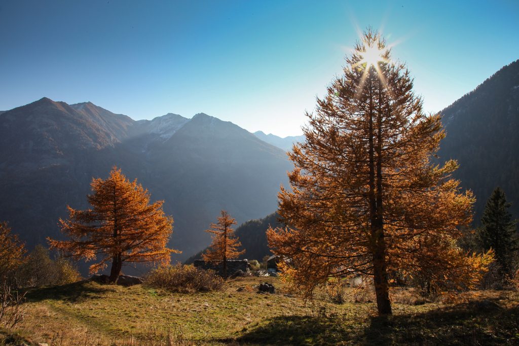 Vallée d'Aoste : l'automne, saison discrète des Alpes italiennes 36 Vallone San Grato Issime ©Vallee d Aoste Tourisme