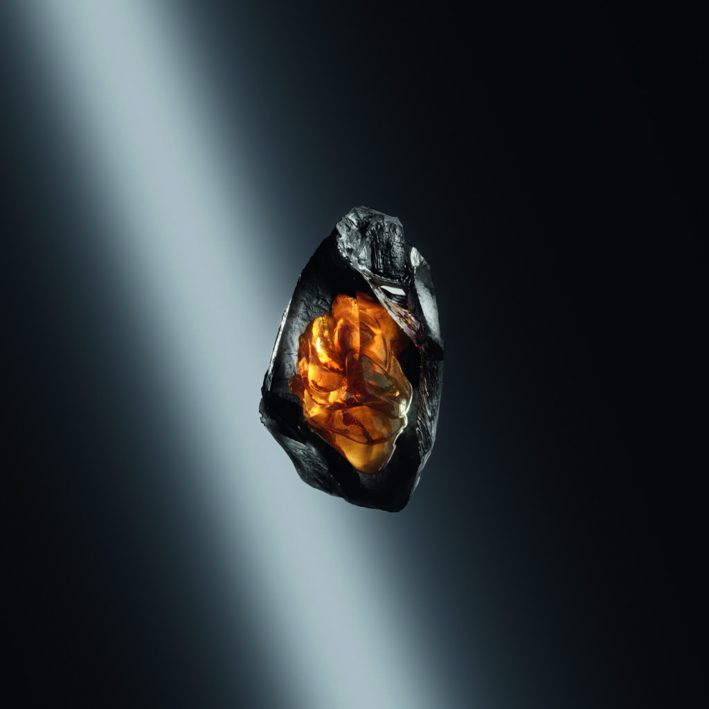 Le Sel d'Issey Parfum : l'intensité se lit d'abord dans le verre 67 IM SI PFM 2026 Still AMBER ACCORD CMYK FULL