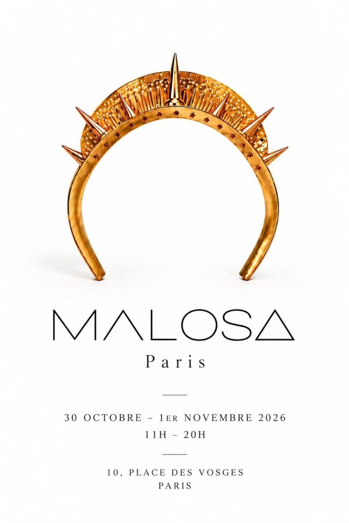 Malosa pose ses valises place des Vosges 26 IMG 20261027 WA0013