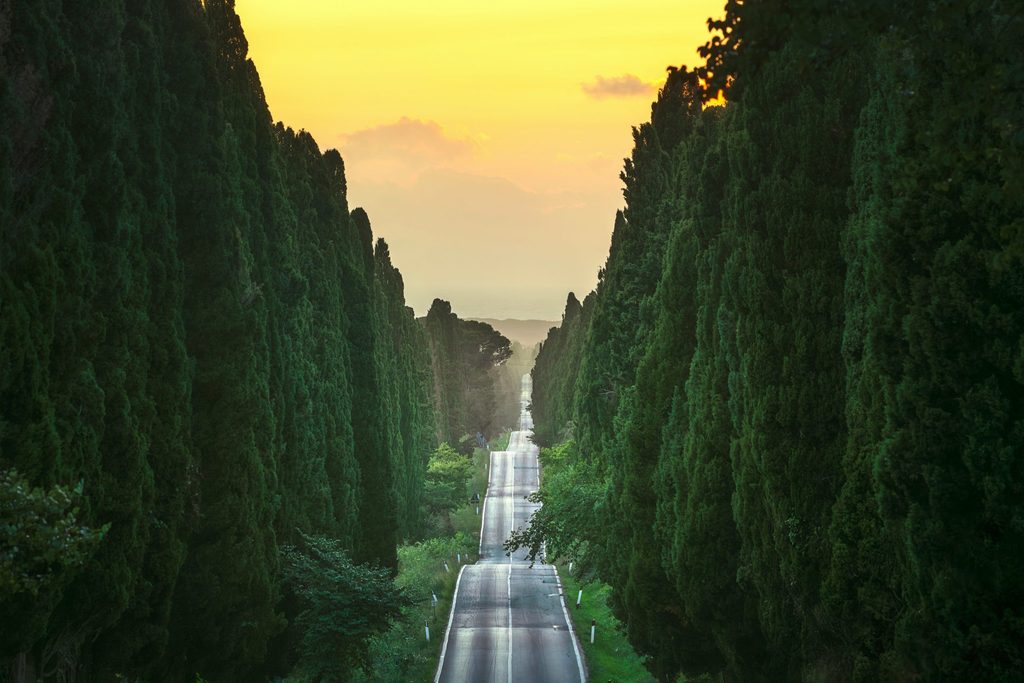 La Dolce Vita Orient Express dessine quatre itinéraires italiens pour 2027 27 LDVOE Bolgheri