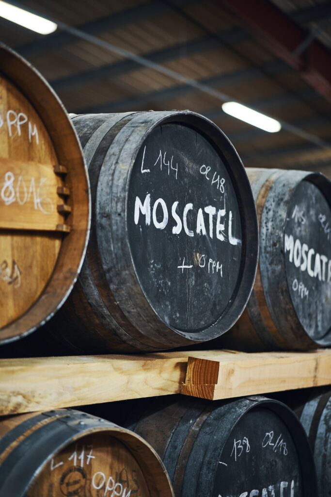 À Rozelieures, un whisky se distille aussi dans les sols volcaniques de Lorraine 26 Rozelieurs Visite Fevrier 25