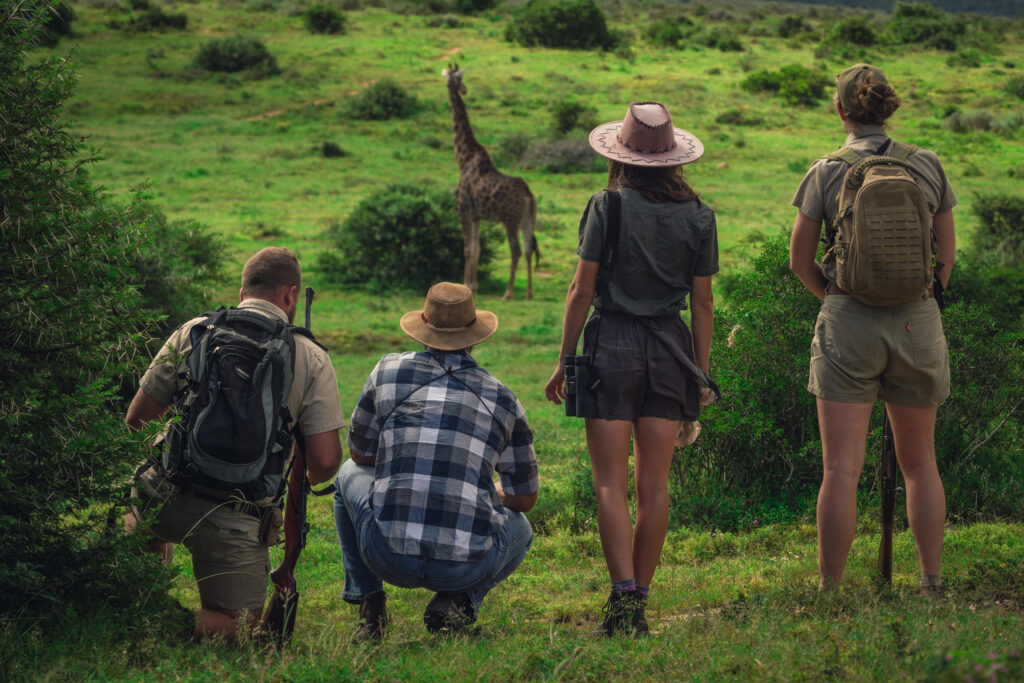 Le Cap, puis Shamwari : l'itinéraire City & Safari de Kerzner 47 Shamwari Private Game Reserve Giraffe People