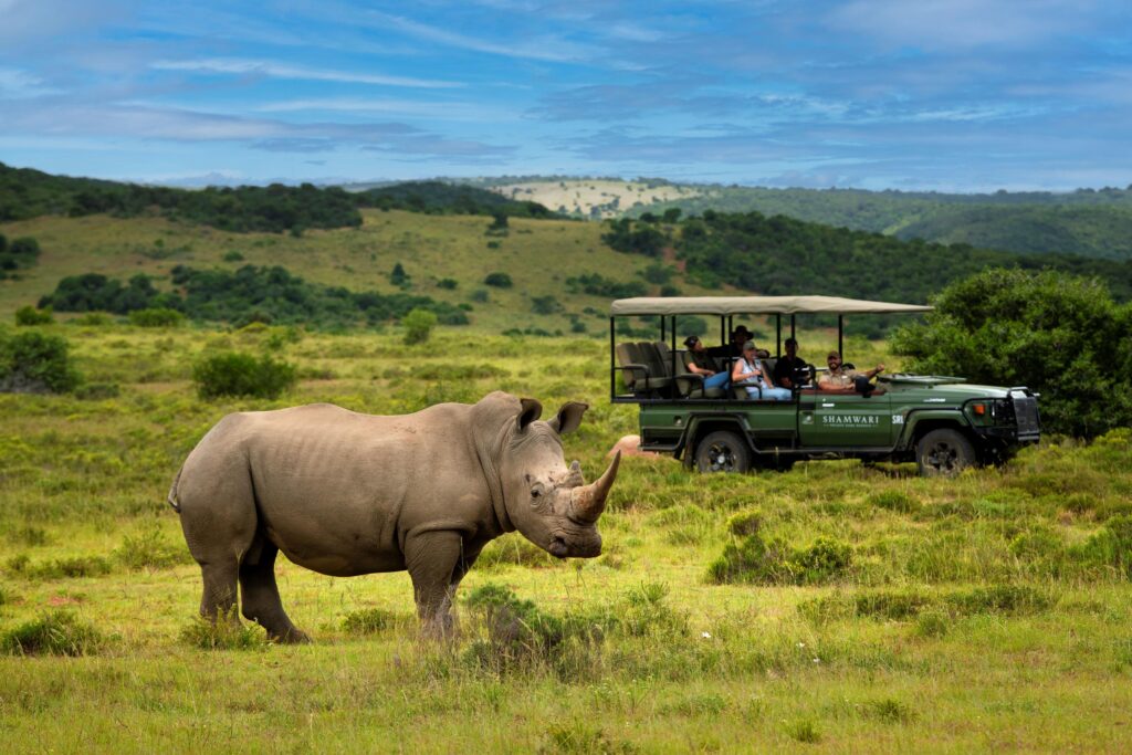 Le Cap, puis Shamwari : l'itinéraire City & Safari de Kerzner 70 Shamwari Private Game Reserve Rhino
