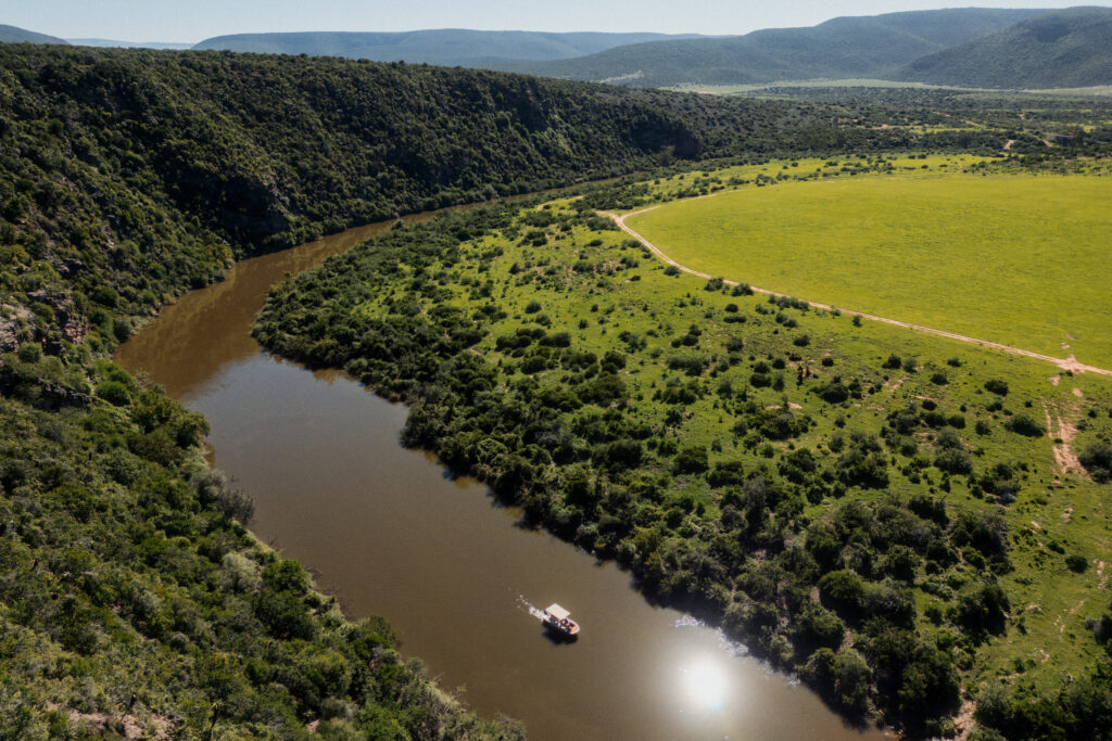 Le Cap, puis Shamwari : l'itinéraire City & Safari de Kerzner 64 Shamwari Private Game Reserve High Res 032026 0247