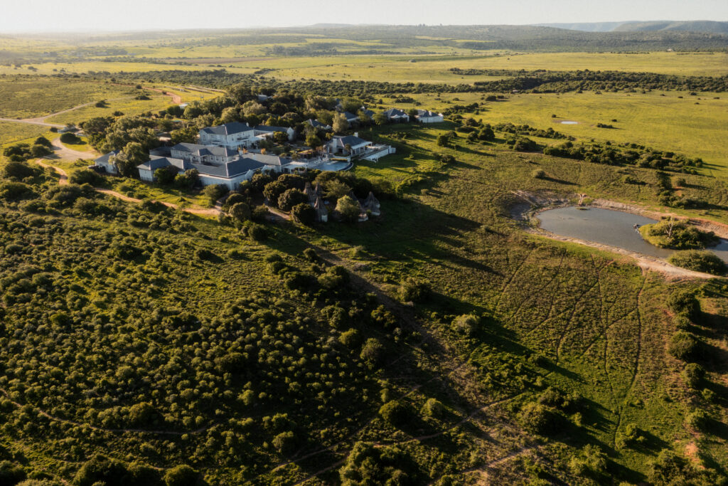 Le Cap, puis Shamwari : l'itinéraire City & Safari de Kerzner 87 Shamwari Private Game Reserve High Res 032026 0366