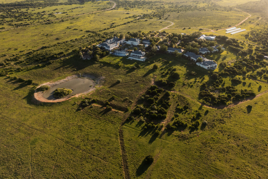 Le Cap, puis Shamwari : l'itinéraire City & Safari de Kerzner 85 Shamwari Private Game Reserve High Res 032026 0367