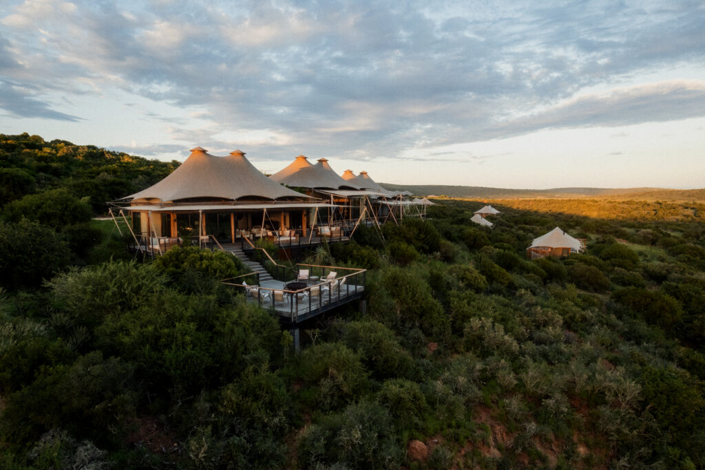 Le Cap, puis Shamwari : l'itinéraire City & Safari de Kerzner 46 Shamwari Private Game Reserve High Res 032026 0381