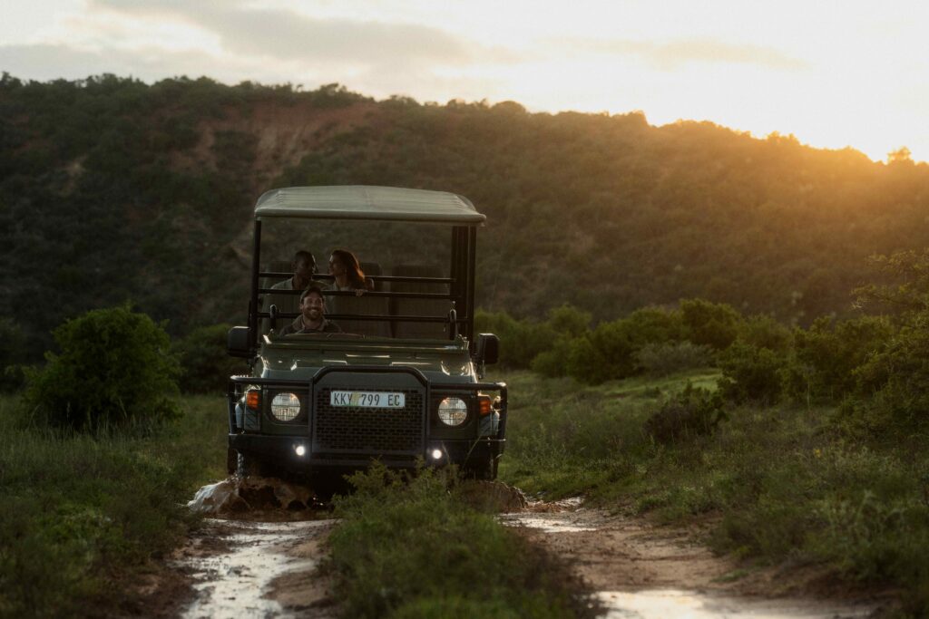 Le Cap, puis Shamwari : l'itinéraire City & Safari de Kerzner 45 Shamwari Private Game Reserve High Res 032026 0251